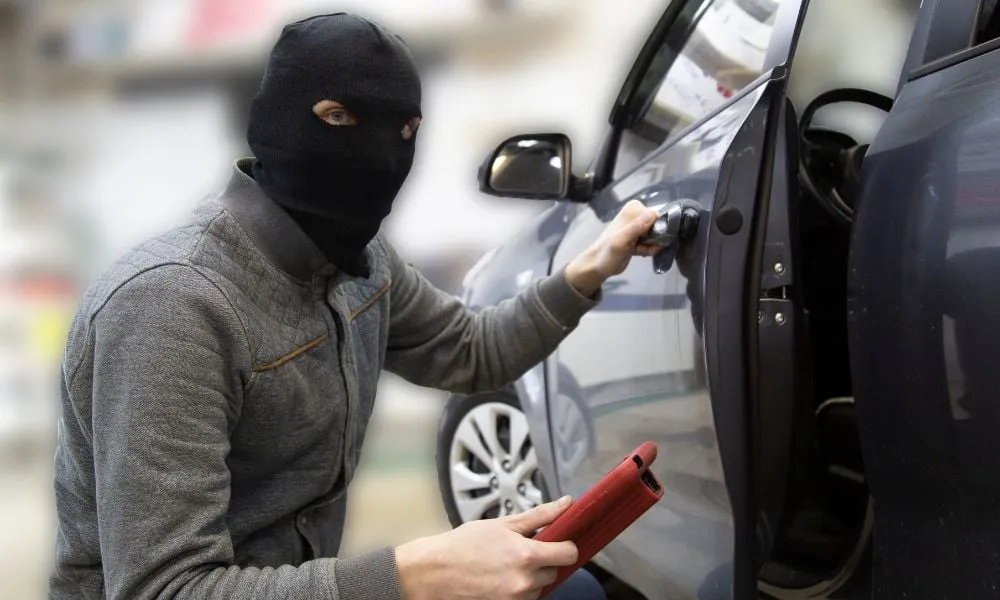 understanding the need for professional car security services